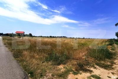 Teren Construcții intravilan de 6358 mp, în Aeroport - 3