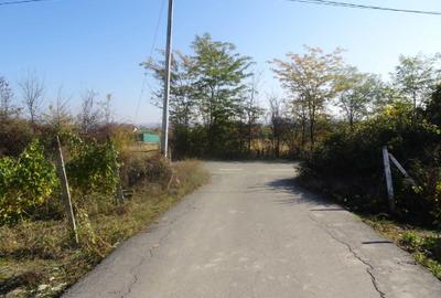 Teren de 2600 mp, în Drăgășani - 11