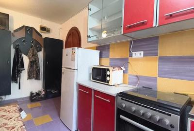Apartament cu 2 camere semidecomandat în Minerul - 3