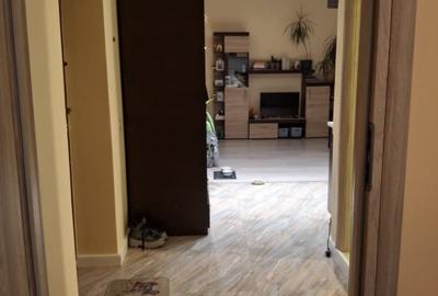 Apartament cu 2 camere, mobilat în Ozana - 17