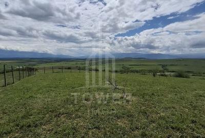 De vanzare, teren 11.500 mp – Dealul Dăii,  Vedere panoramică spre munți și lac - 4