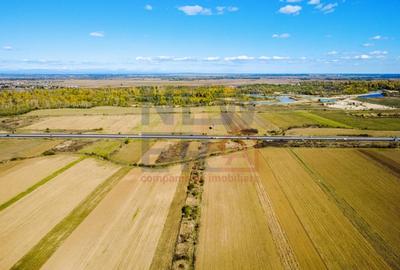 Terenuri industriale cu deschidere la A1, km 64 – Jugureni, Dambovita - 4