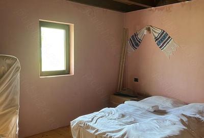 Casă cu 2 camere cu Teren 7500 Mp în Sulighete - 7
