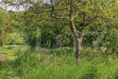 Casă cu 5 camere cu Teren 2100 Mp în Luna - 5