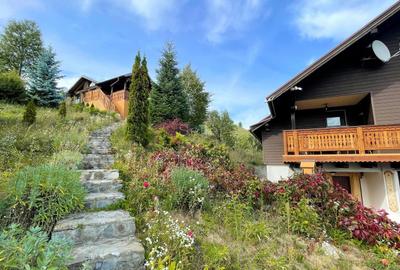 Complex de 3 case pe 18000 mp teren - 57