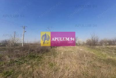 Teren de 4800 mp, în Glina - 8