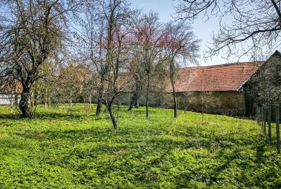 Casa saseasca - teren generos si potential de extindere - Somartin 103 - 1