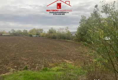 Casă cu 3 camere cu Teren 3895 Mp în Rândunica - 1