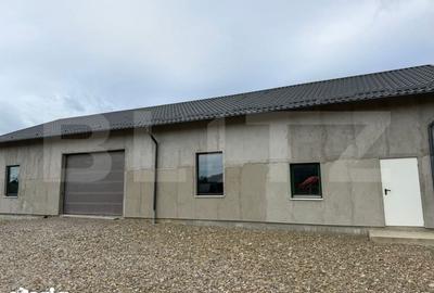 Spațiu comercial, de 250 mp, în Pătrăuți