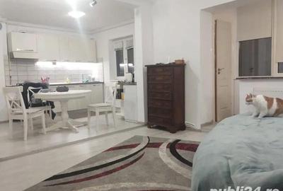 Apartament cu 4 camere semidecomandat în Gojdu - 17