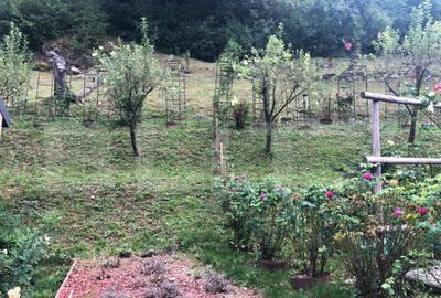 De vanzare teren intravilan in zona Schei (+cabana) - 8