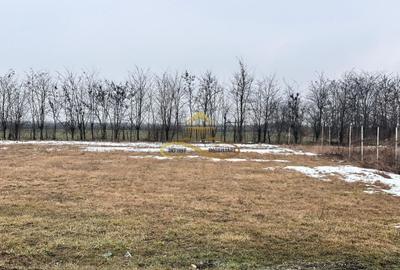 Teren Construcții intravilan de 900 mp, în Săucești - 5