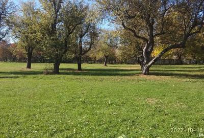 Teren de 9081 mp, în Crăcăoani - 2