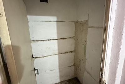 Apartament cu 2 camere decomandat în Cetate - 10