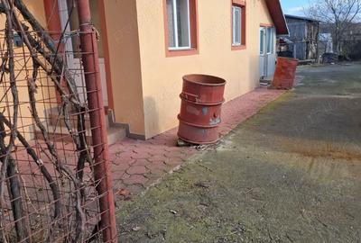 Casă cu 4 camere cu Teren 900 Mp în Satu Nou - 10