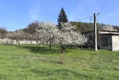 Teren de 5224 mp, în Dobrești