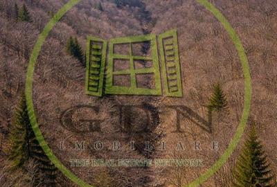 Teren de 20000 mp, în Schei