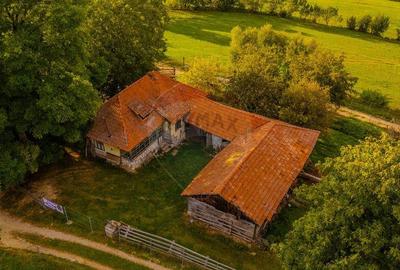 Teren de 3000 mp, în Bran - 8