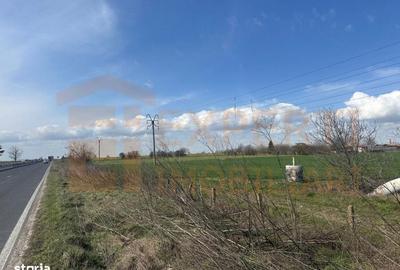 Spațiu comercial, în Valu lui Traian - 7