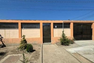 Casa la sol, 4 camere, 821 mp teren, Lumina - 8