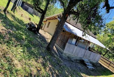 Casă cu 1 camere cu Teren 15000 Mp în Central - 1