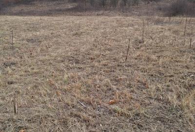 Spațiu comercial, în Hunedoara - 5