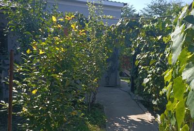 Case de vinzare confort apartament - 10