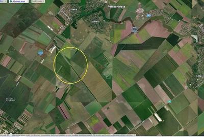 Teren de 25000 mp, în Afumați