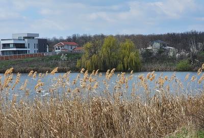 Mogosoaia Teren intravilan 19.974 mp cu PUZ aprobat I dezvoltare I P+2+M - 3