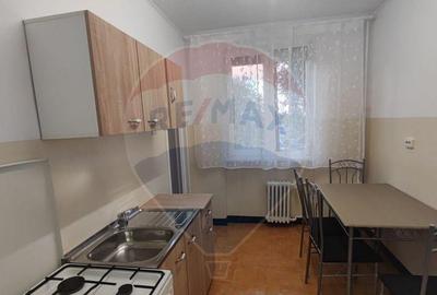 De inchiriat apartament 3 camere spatios etaj 1 Splaiul C... - 2