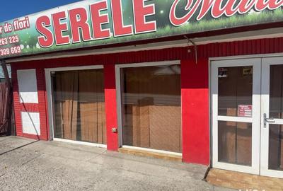 Inchiriez spatiul comercial - 3