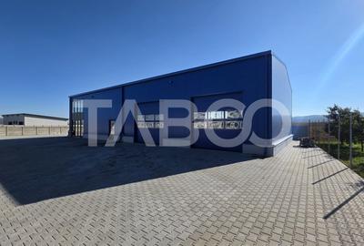 Hala industriala noua diverse destinatii de inchiriat in Sebes - 2