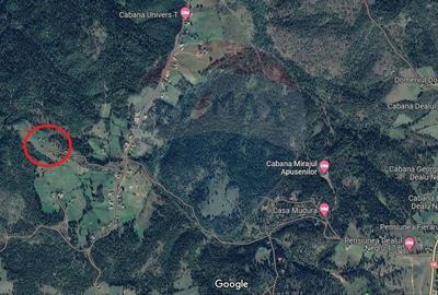 Teren Construcții intravilan de 8119 mp, în Călățele - 5