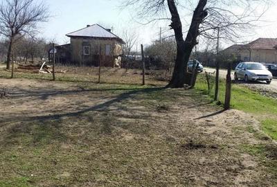 2(doua) teren intravilan in localitatea Giurgi?a, judetul Dolj. - 9