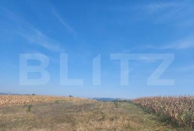 Teren de 10180 mp, în Central