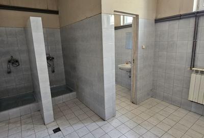 Hala 590 mp, depozitare, prestari servicii, ocolitoarea Brasov-Stupini - 4