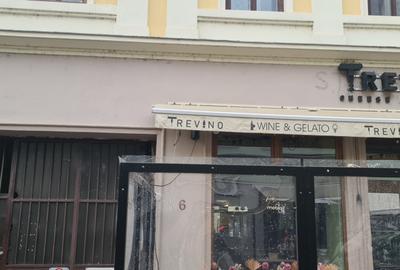 Garsonieră cochetă ultracentrală-Vasile Alecsandri - 10