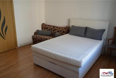 Apartament 1 Camera Mobilat si Utilat de Zona Dambu Pietros - 8
