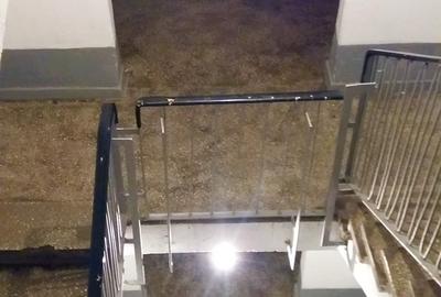 Salaj, Aleea Bacau, Parc Humulesti, 15 minute de Piata Unirii cu STB 117 - 3