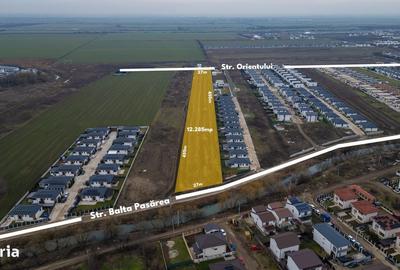 Spațiu comercial, în Tunari - 7