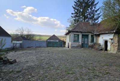 Casă cu 2 camere în Chioag - 7