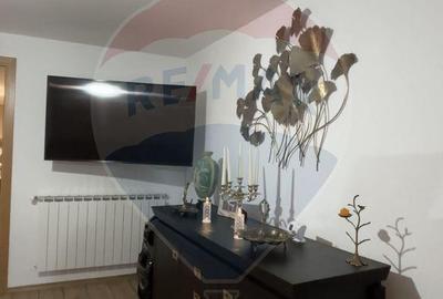 Casă cu 4 camere cu Teren 1378 Mp în Șeica Mică - 6