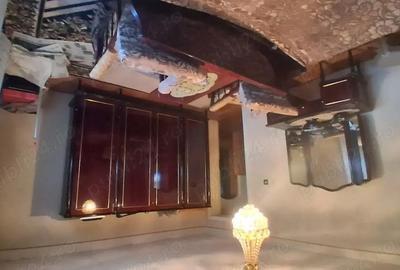 Casă cu 6 camere cu Teren 740 Mp în Mehala - 5