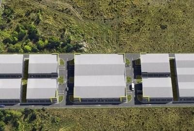 Hala Noua de Inchiriat | Pallady-Drum Intre Tarlale | 600MP - 21