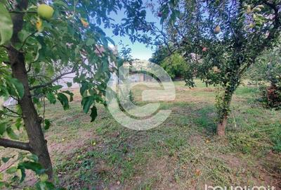 Teren intravilan Sura Mare - 578 Mp - cu PUZ aprobat si toate utilitatile - 3