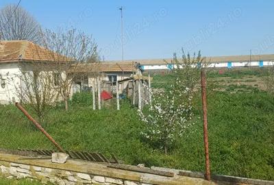 Teren+casa de inchiriat & de vanzare - 2