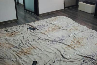 Garsonieră în Fizicienilor