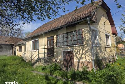 Casă cu 4 camere cu Teren 1210 Mp în Valea Crișului - 10