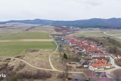 Spațiu comercial, în Crizbav - 3