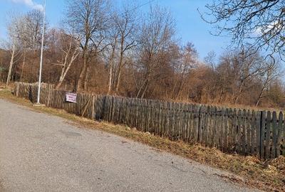 Teren Construcții intravilan de 4200 mp, în Romanii de Jos - 2